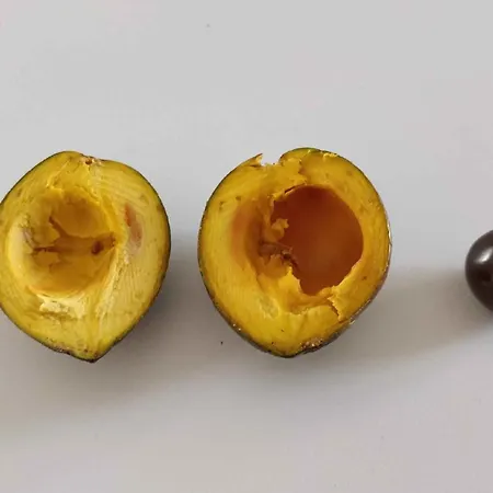 Hiresicily - Casale Della Pergola בית נופש Lido di Noto