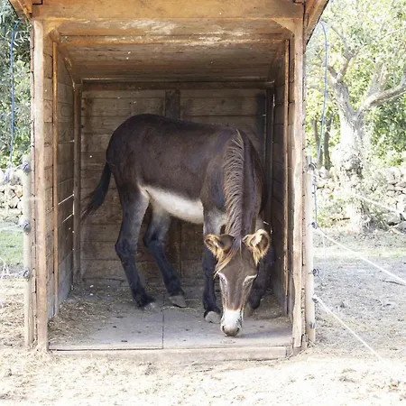 בית נופש Hiresicily - Casale Della Pergola Lido di Noto