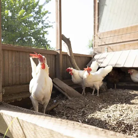 Hiresicily - Casale Della Pergola *