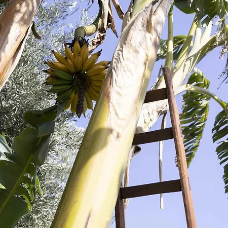 Hiresicily - Casale Della Pergola Lido di Noto