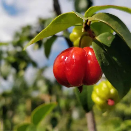 Hiresicily - Casale Della Pergola * Lido di Noto