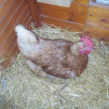 Hiresicily - Casale Della Pergola בית נופש *