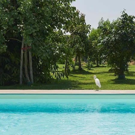 Casale Della Pergola Holiday home