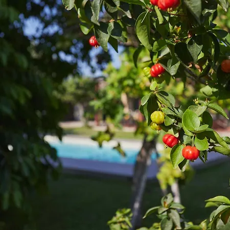Hiresicily - Casale Della Pergola بيت للعطل