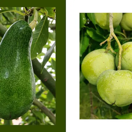 בית נופש Hiresicily - Casale Della Pergola Lido di Noto