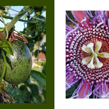 בית נופש Hiresicily - Casale Della Pergola