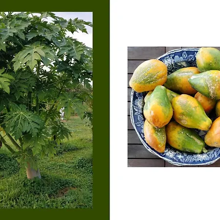 בית נופש Hiresicily - Casale Della Pergola *